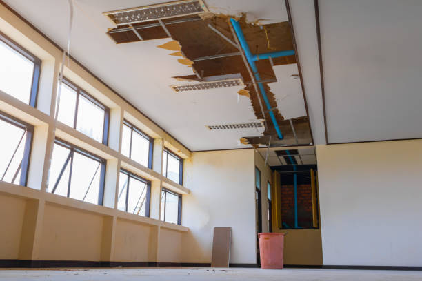 Best Basement water damage restoration  in Vardaman, MS