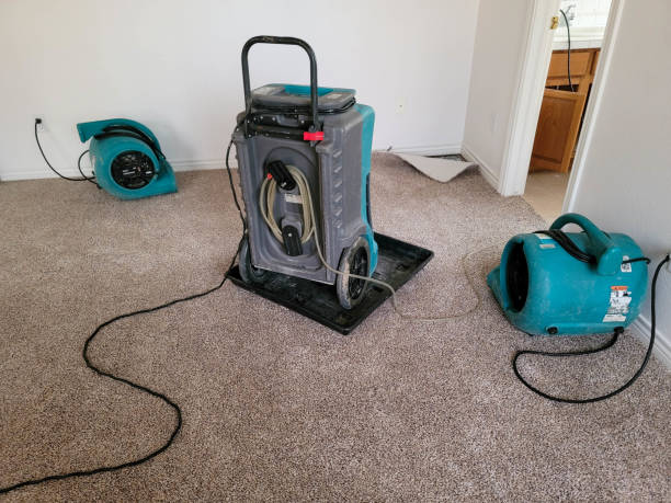  Vardaman, MS Water damage restoration Pros