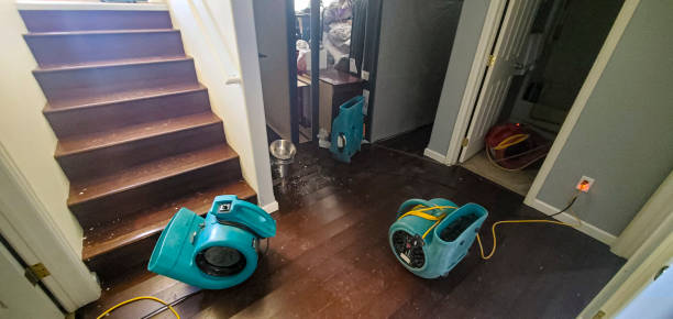 Best Local water damage restoration  in Vardaman, MS