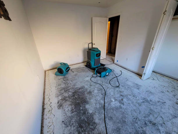 Best Flood damage cleanup  in Vardaman, MS