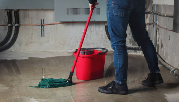 Best Water damage restoration near me  in Vardaman, MS