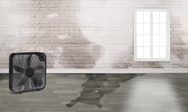Water damage restoration experts in Vardaman, MS