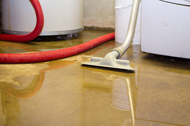  Vardaman, MS Water damage restoration Pros
