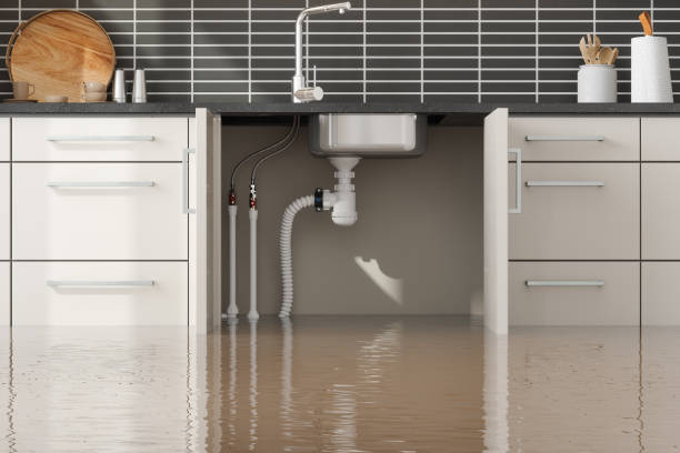 Best 24-hour water damage restoration  in Vardaman, MS