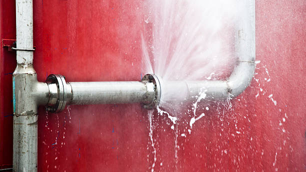 Best Flooded house restoration  in Vardaman, MS
