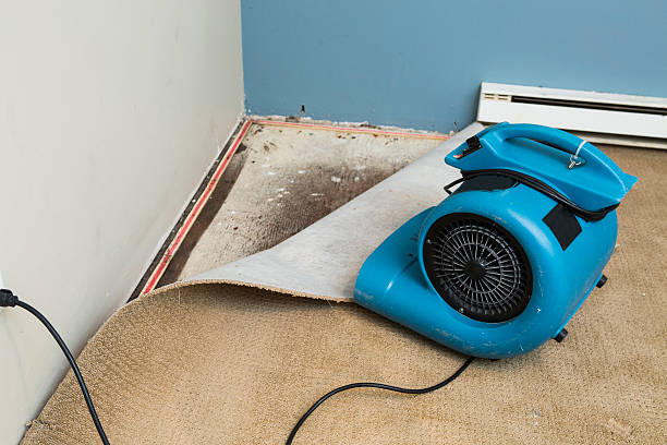 Best 24/7 water damage repair  in Vardaman, MS